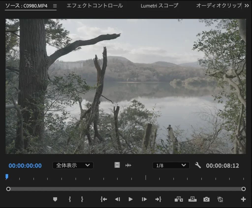 ワークスペースで画面の見え方を理解する。 Premiere Pro Workspace 6 1024x846