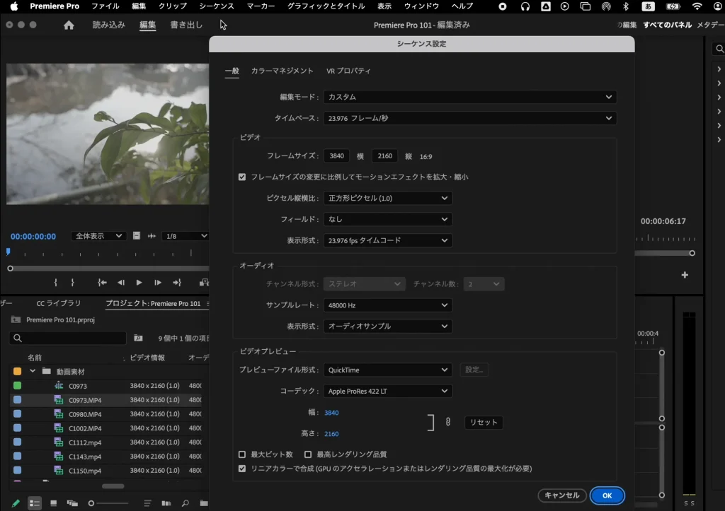 Premiere Pro Project Panel And Sequence3 1024x723