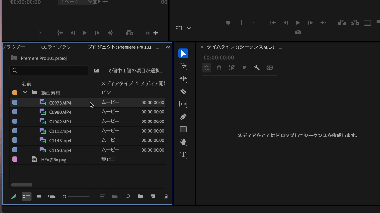 Premiere Pro Project Panel And Sequence 1